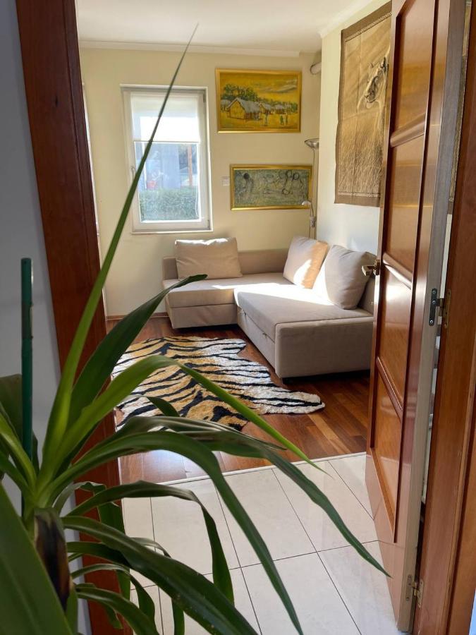 Rosehill Garden Family Villa With A Great Budapest View Eksteriør billede